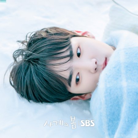 Spring of Youth (2025)