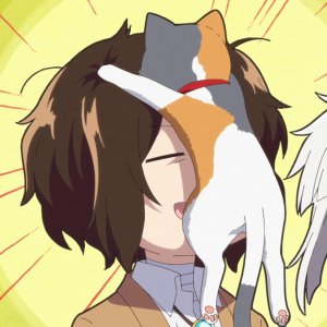 dazaimeows