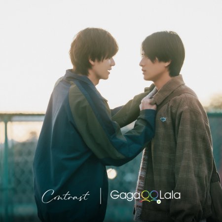 Contrast (2026)