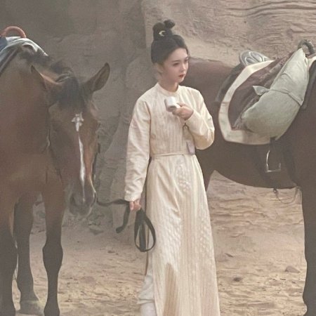 Strange Tales of Tang Dynasty II To the West (2024)