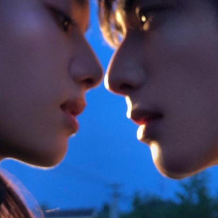Love for You (2026)