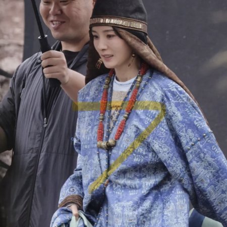 Northern Wei Dynasty ()
