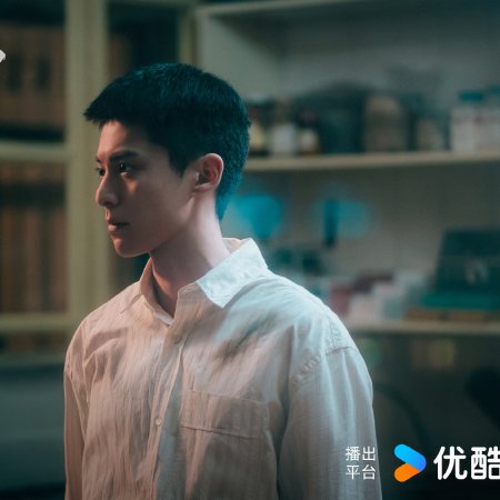 Light to the Night (2026)