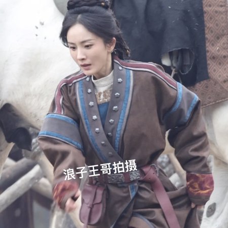 Northern Wei Dynasty ()