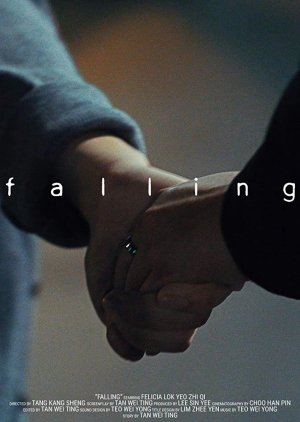 Falling (2016) poster