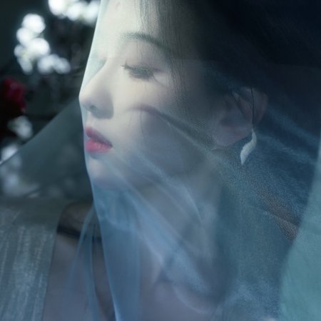 Veil of Shadows (2026)