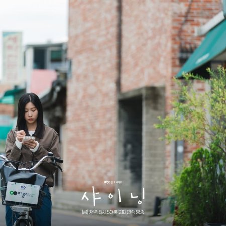 Still Shining (2026)