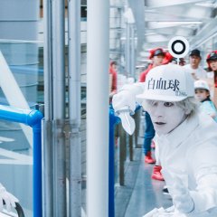 Cells at Work! Japanese Movie photo