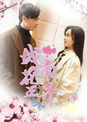 Cheng Nan Hua Zheng Kai (2024) poster