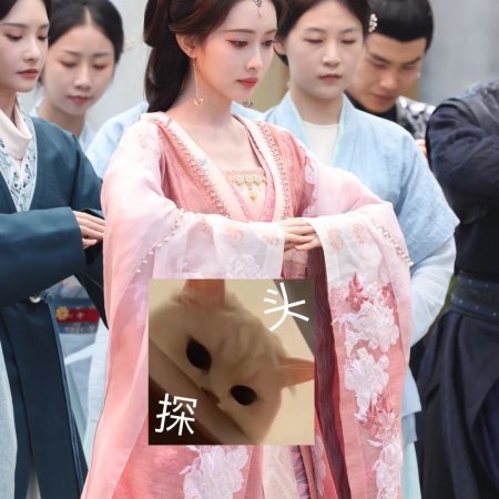 Blossoms of Power ()