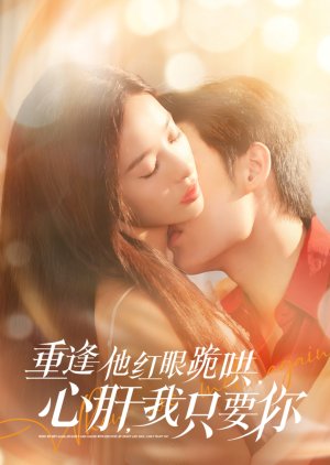 When We Met Again (2025) poster