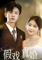Fake Show True Marriage Chinese Drama(2024) photo
