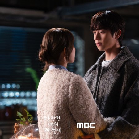 In Your Radiant Season (2026)