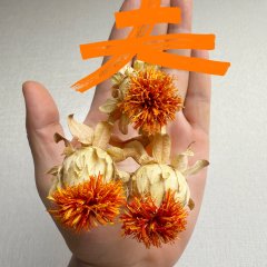 Dong Qu Chun Lai Chinese Drama(2026) photo