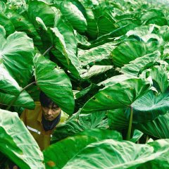 The Devil between Us Chinese Drama photo