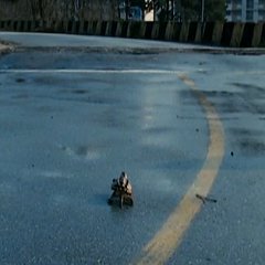 Land of Scarecrows Korean Movie photo