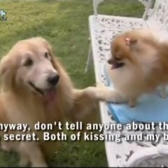 Dok Ruk Rim Tang Thai Drama photo