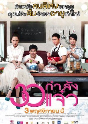Fabulous 30 (2011) poster