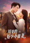 Love You chinese drama review