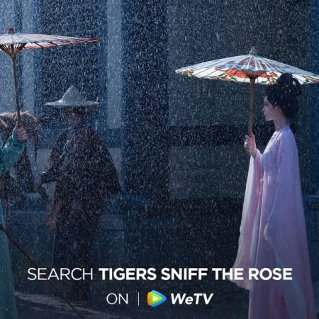 Tigers Sniff the Rose (2026)