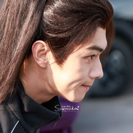 Tian Du Yi Wen Lu ()