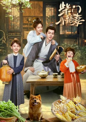 Chai Men Xiao Fu Qi poster