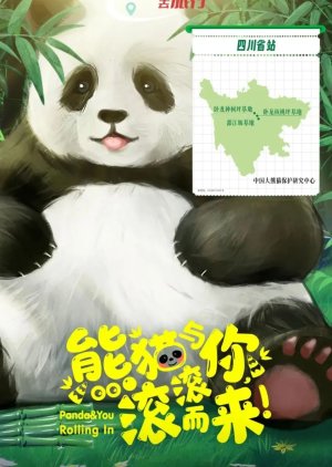 Panda & You Rolling in () poster