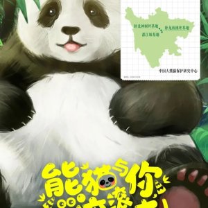 Panda & You Rolling in ()