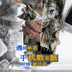 The Bad Footage (2024)