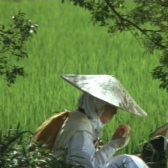 Journey Into Solitude Japanese Movie photo