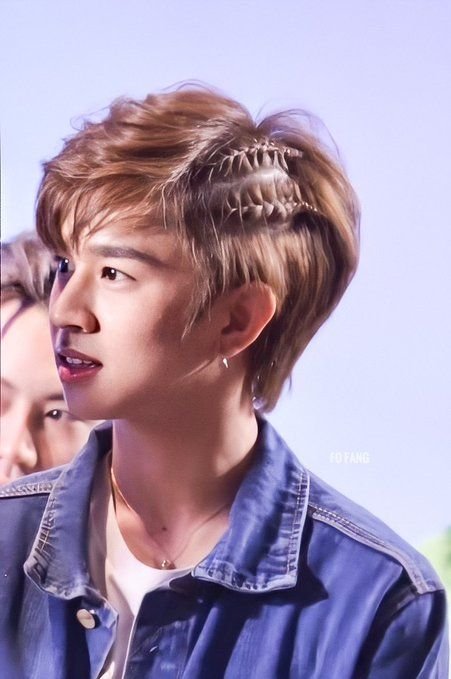 braid_fluke.jpg
