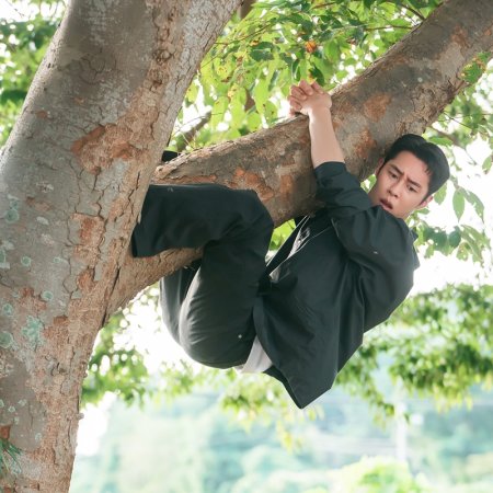 Doctor on the Edge (2026)