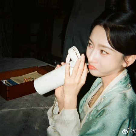The Palace Stewardess ()