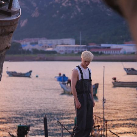 Dazzling (2026)