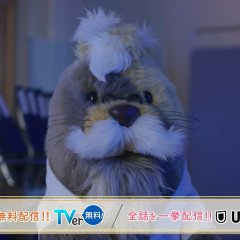 Madoka 26-sai, Kenshui Yattemasu! Japanese Drama photo