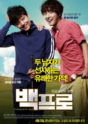 Mr. Perfect (2014) poster