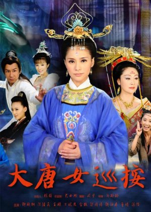 Da Tang Nu Xun An (2011) poster