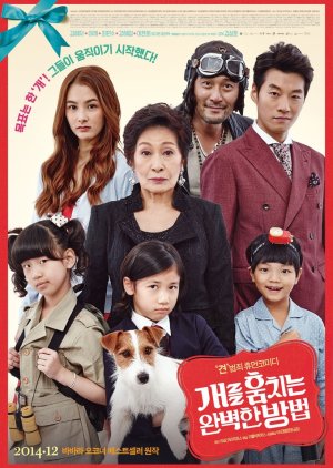 How to Steal a Dog (2014) poster