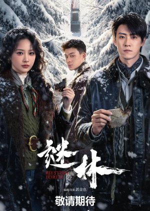 Mi Lin poster