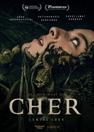Cher poster