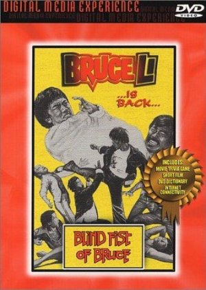 Blind Fist Of Bruce (1979) poster