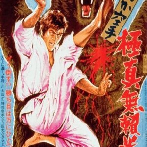 Karate Bearfighter (1975)
