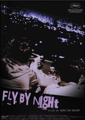 Fly by Night (2011) poster