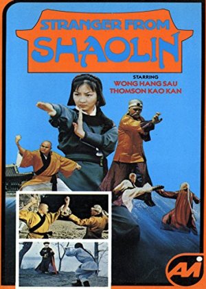 Stranger From Shaolin (1978) poster