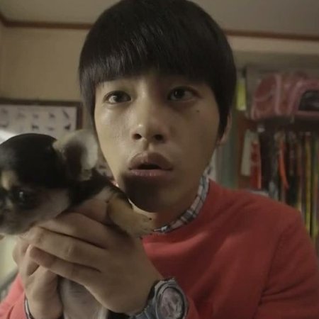 Kamisama no Boto  (2013)