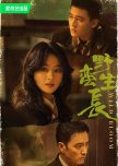 Wild Bloom chinese drama review