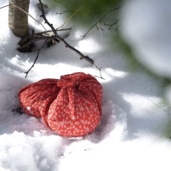 Shari Japanese Movie photo