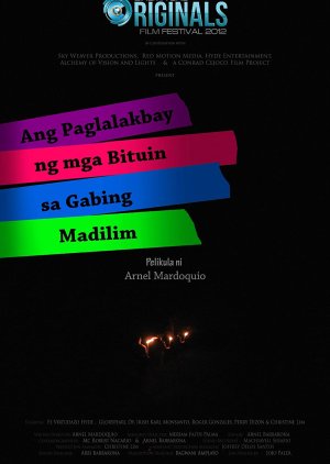 Ang paglalakbay ng mga bituin sa gabing madilim (2012) poster