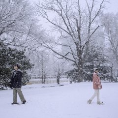 Leap Day Hong Kong Drama(2020) photo