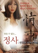 An Affair: A Dangerous Sexual Play Korean Movie photo